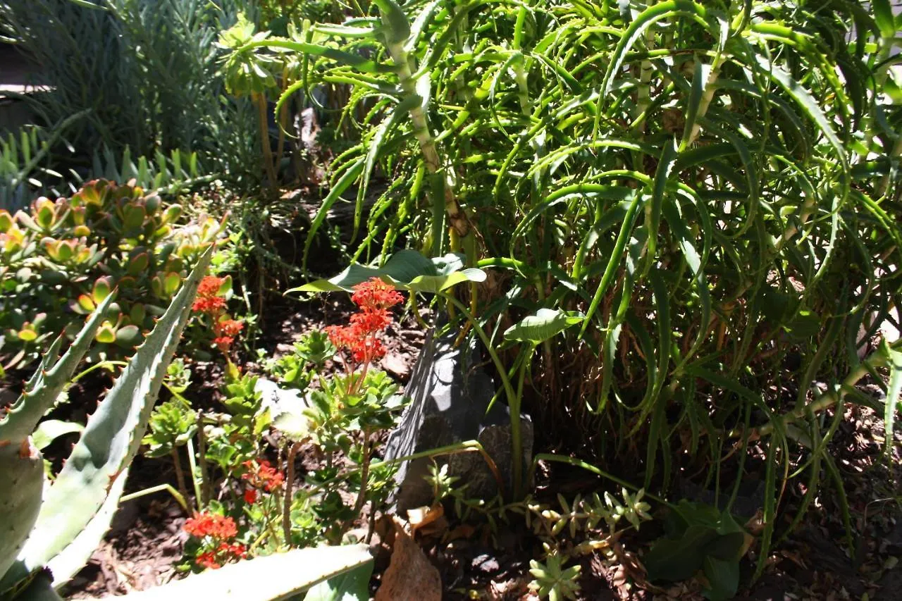 The Vinelands On Alpha Guest House Cape Town 0*,  South Africa