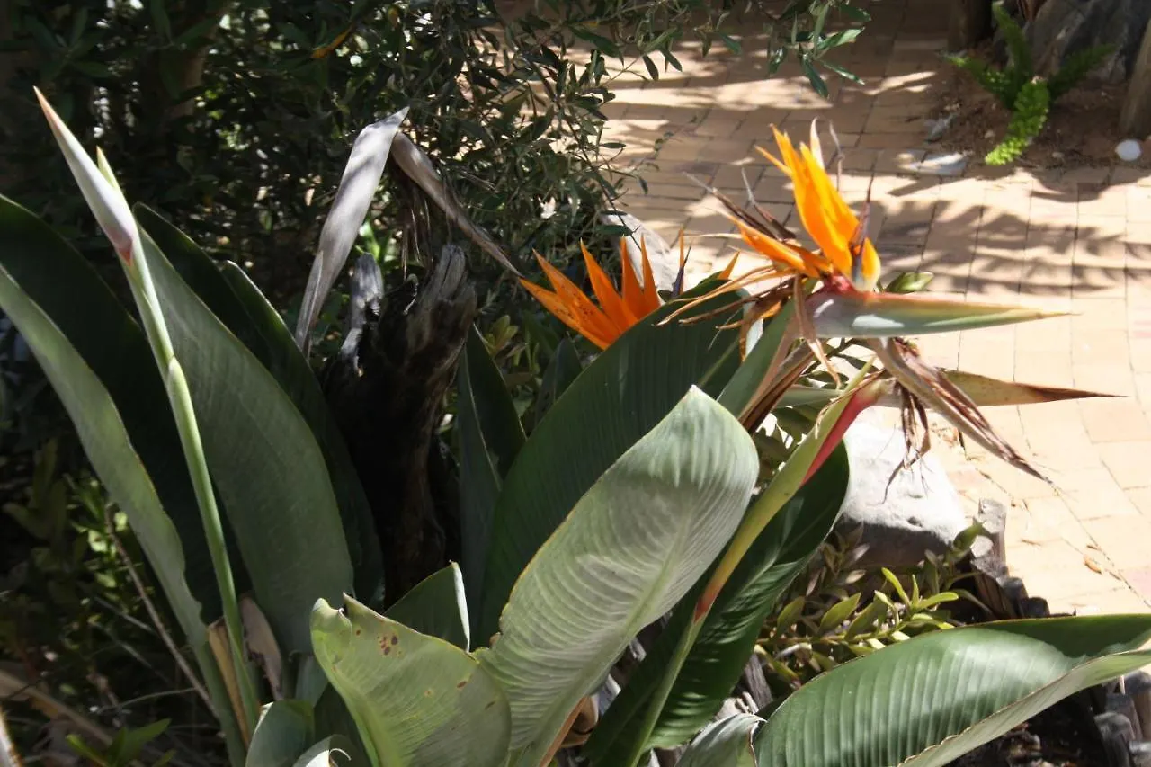 The Vinelands On Alpha Guest House Cape Town